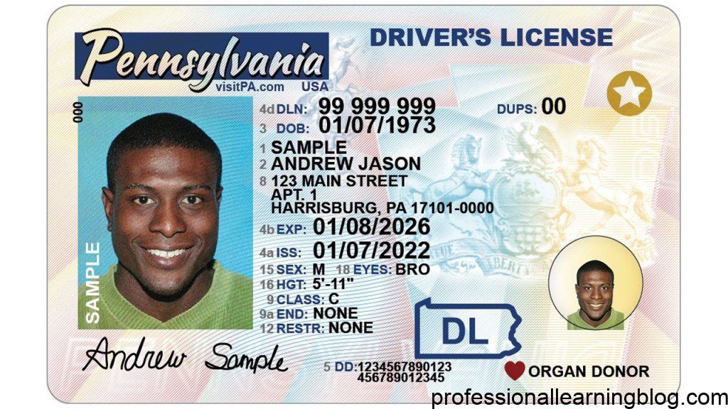 How Did You Lose Your Driver's License?