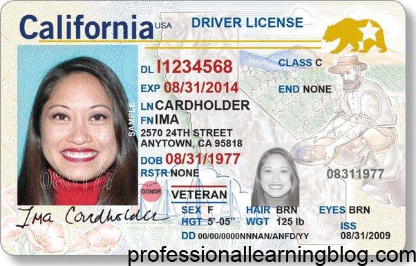 How Can I Request a Lost Driver's License?